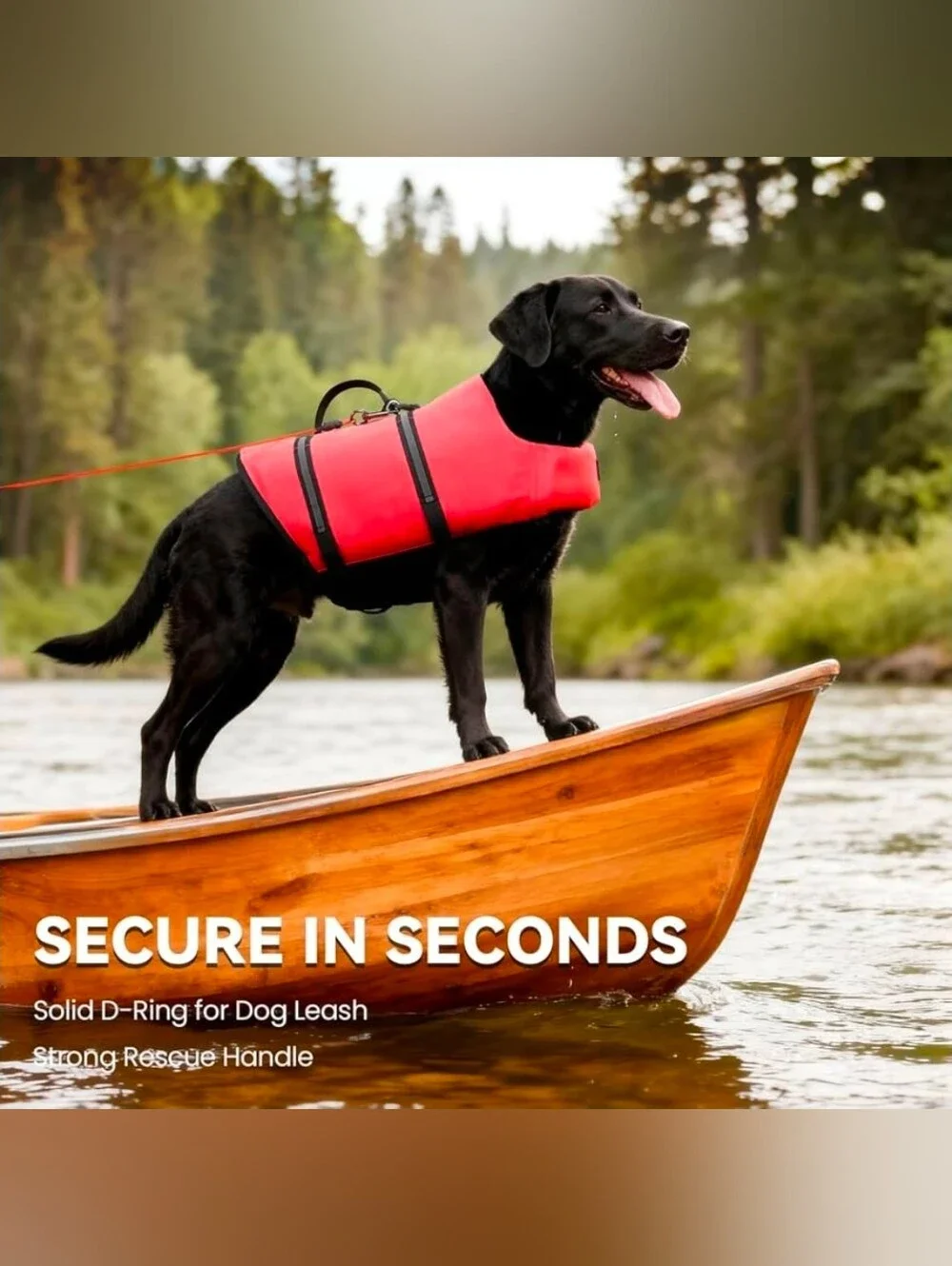 VIVAGLORY Dog Life Vest Rip Stop Dog Swim Vest, M, Bright PinkHigh Visibility